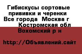 Гибискусы сортовые, прививки и черенки - Все города, Москва г.  »    . Костромская обл.,Вохомский р-н